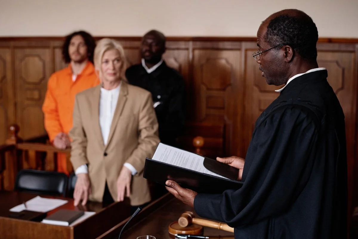 Tax Litigation Senior Advocates representing clients before tribunals